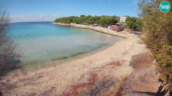 Snímek    14.11.2025 v 11:30