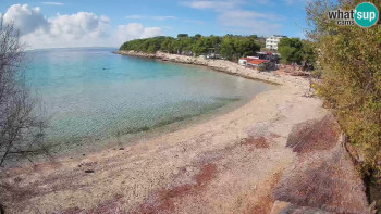 Snímek 14.11.2025 v 13:15