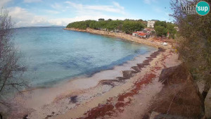 Murter - Pláž Slanica - 26.11.2025 v 09:45 Murter - Pláž Slanica - 26.11.2025 v 09:45