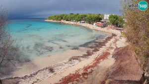 Murter - Pláž Slanica - 26.11.2025 v 11:45 Murter - Pláž Slanica - 26.11.2025 v 11:45