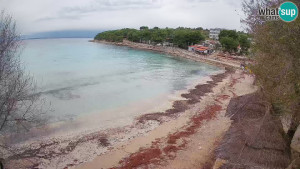 Murter - Pláž Slanica - 26.11.2025 v 12:45 Murter - Pláž Slanica - 26.11.2025 v 12:45