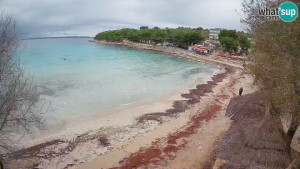 Murter - Pláž Slanica - 26.11.2025 v 13:45 Murter - Pláž Slanica - 26.11.2025 v 13:45