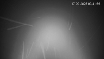 Snímek    17.9.2025 v 03:45