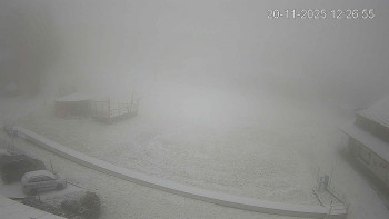 Snímek    20.11.2025 v 12:30