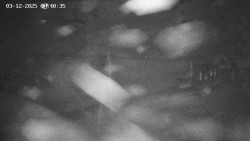 Family aréna, snowtubing