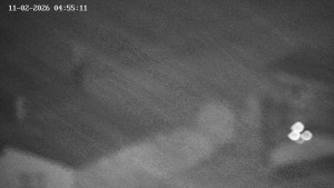 Obec Benecko - Family aréna, snowtubing - 11.2.2026 v 05:00