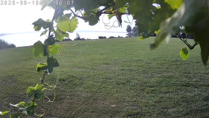 CHKO Pálava - Kite Beach Pavlov - 15.8.2025 v 07:45