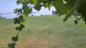 CHKO Pálava - Kite Beach Pavlov - 15.8.2025 v 13:45