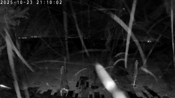 Snímek    23.10.2025 v 21:15