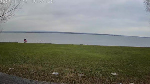 CHKO Pálava - Kite Beach Pavlov - 26.11.2025 v 15:45