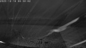 CHKO Pálava - Kite Beach Pavlov - 16.12.2025 v 07:00 CHKO Pálava - Kite Beach Pavlov - 16.12.2025 v 07:00