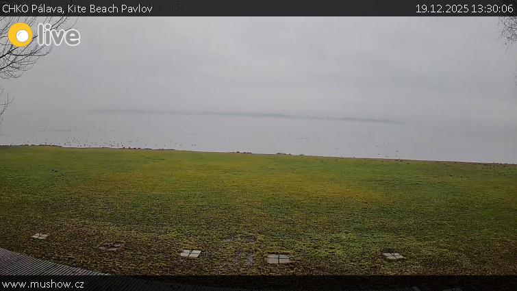 CHKO Pálava - Kite Beach Pavlov - 19.12.2025 v 13:30