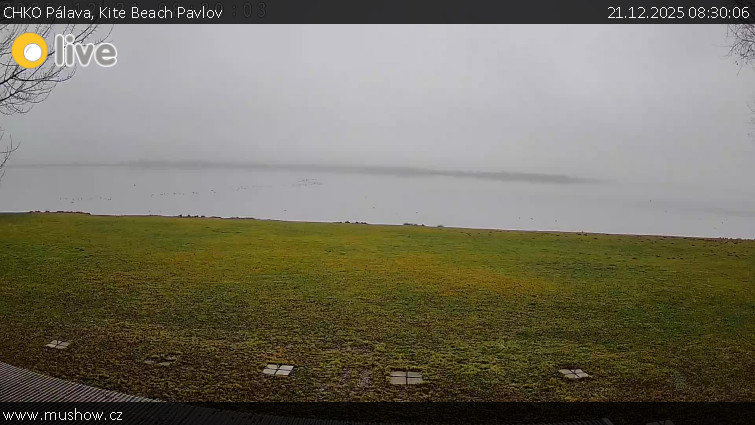 CHKO Pálava - Kite Beach Pavlov - 21.12.2025 v 08:30