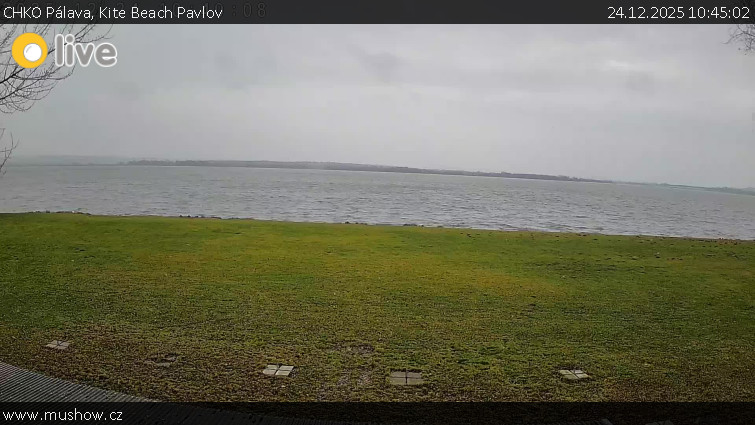 CHKO Pálava - Kite Beach Pavlov - 24.12.2025 v 10:45