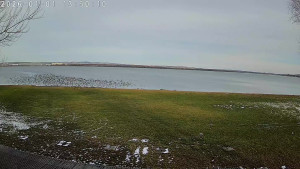 CHKO Pálava - Kite Beach Pavlov - 1.1.2026 v 14:00