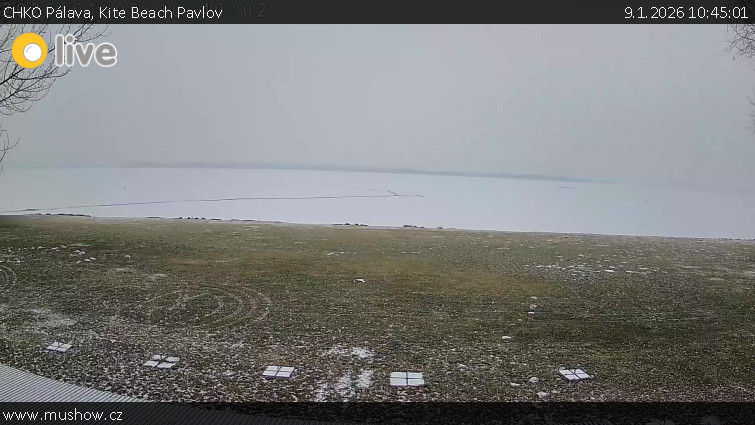 CHKO Pálava - Kite Beach Pavlov - 9.1.2026 v 10:45