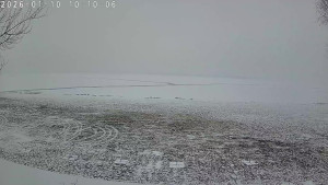 CHKO Pálava - Kite Beach Pavlov - 10.1.2026 v 10:15 CHKO Pálava - Kite Beach Pavlov - 10.1.2026 v 10:15