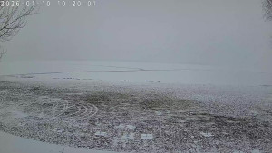 CHKO Pálava - Kite Beach Pavlov - 10.1.2026 v 10:30 CHKO Pálava - Kite Beach Pavlov - 10.1.2026 v 10:30