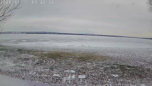 CHKO Pálava - Kite Beach Pavlov - 11.1.2026 v 09:30