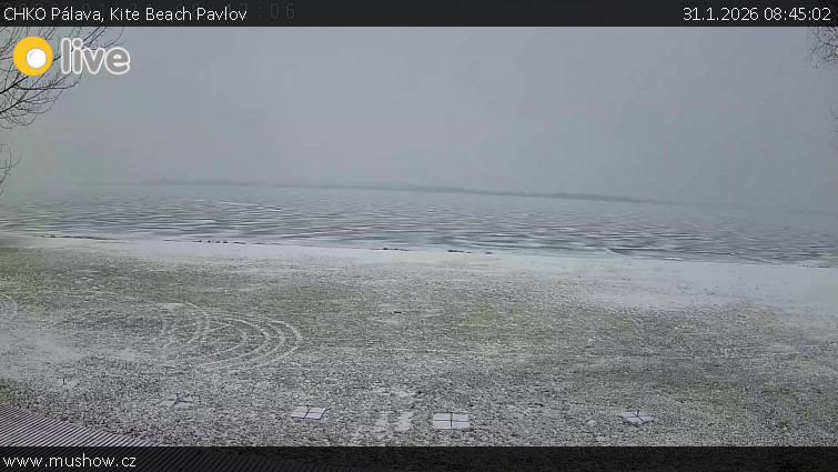 CHKO Pálava - Kite Beach Pavlov - 31.1.2026 v 08:45