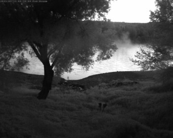 Snímek    13.5.2025 v 04:32