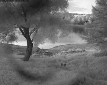 Snímek    13.5.2025 v 21:02