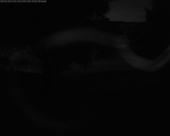 Snímek    13.5.2025 v 21:32