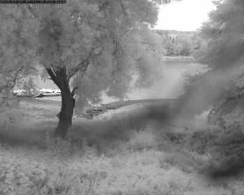 Snímek    7.7.2025 v 04:45
