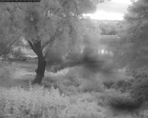 Přehrada Seč - Přehrada - 13.7.2025 v 04:45