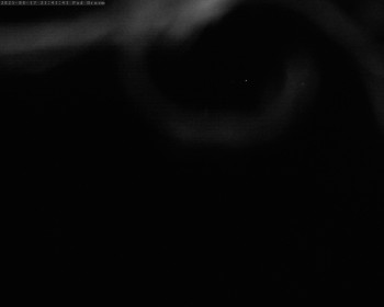 Snímek    17.8.2025 v 21:45