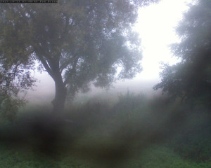 Přehrada Seč - Přehrada - 13.10.2025 v 07:45