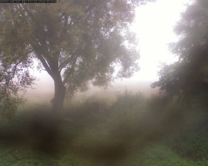 Přehrada Seč - Přehrada - 13.10.2025 v 08:45
