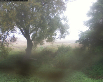 Snímek    14.10.2025 v 09:02