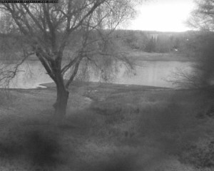 Přehrada Seč - Přehrada - 13.11.2025 v 06:45