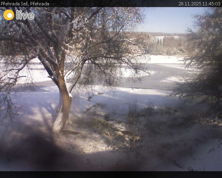 Přehrada Seč - Přehrada - 28.11.2025 v 11:45
