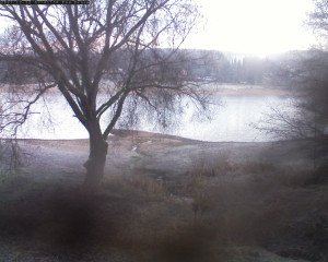 Přehrada Seč - Přehrada - 12.12.2025 v 07:45 Přehrada Seč - Přehrada - 12.12.2025 v 07:45