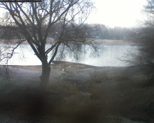 Přehrada Seč - Přehrada - 12.12.2025 v 08:15 Přehrada Seč - Přehrada - 12.12.2025 v 08:15