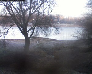 Přehrada Seč - Přehrada - 12.12.2025 v 08:32 Přehrada Seč - Přehrada - 12.12.2025 v 08:32