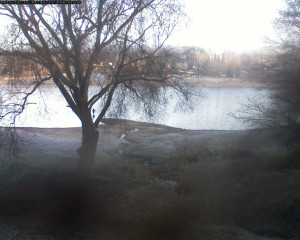 Přehrada Seč - Přehrada - 12.12.2025 v 08:45 Přehrada Seč - Přehrada - 12.12.2025 v 08:45