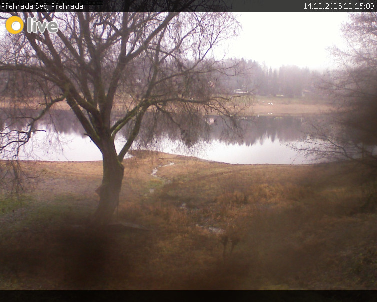 Přehrada Seč - Přehrada - 14.12.2025 v 12:15