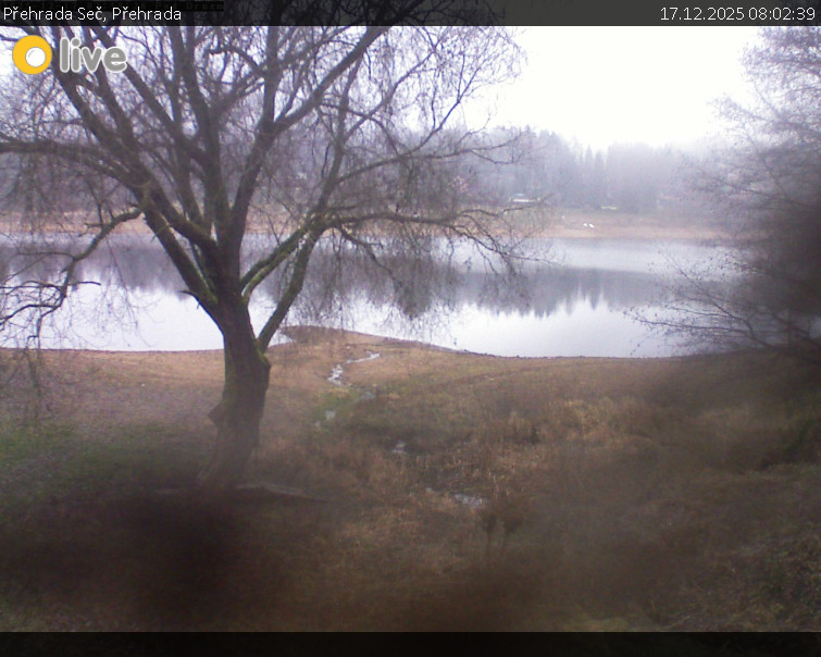 Přehrada Seč - Přehrada - 17.12.2025 v 08:02