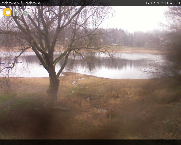 Přehrada Seč - Přehrada - 17.12.2025 v 08:45