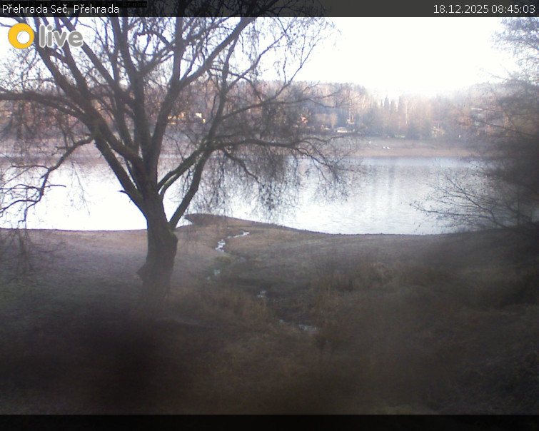 Přehrada Seč - Přehrada - 18.12.2025 v 08:45