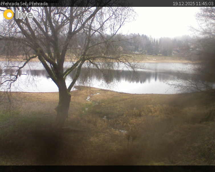 Přehrada Seč - Přehrada - 19.12.2025 v 11:45