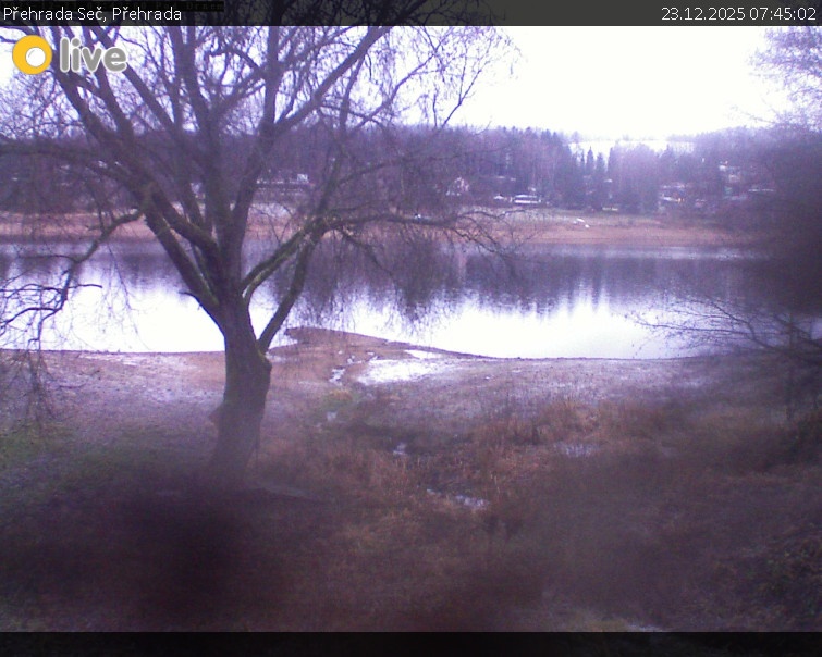 Přehrada Seč - Přehrada - 23.12.2025 v 07:45