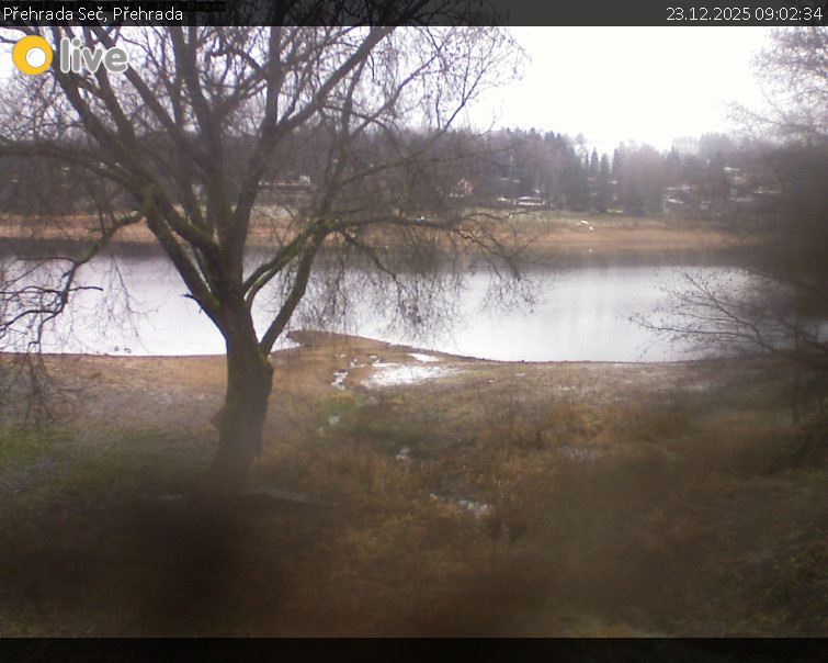 Přehrada Seč - Přehrada - 23.12.2025 v 09:02