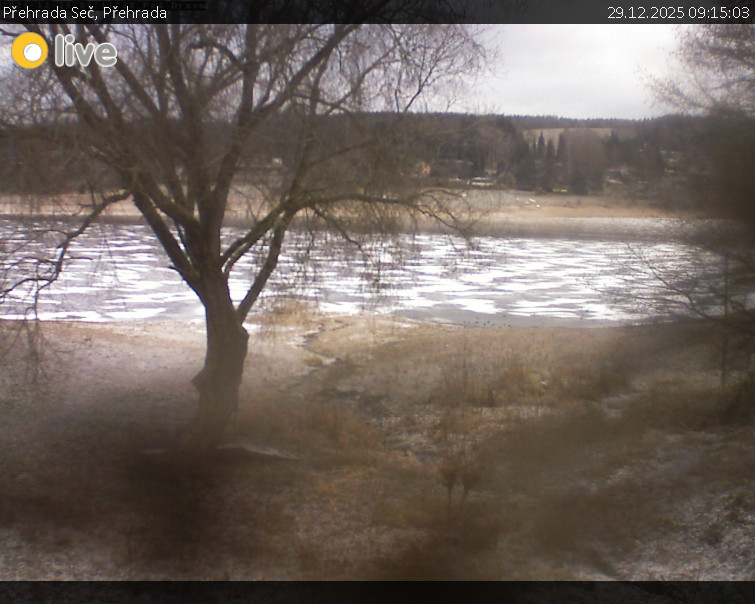 Přehrada Seč - Přehrada - 29.12.2025 v 09:15