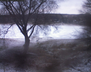 Přehrada Seč - Přehrada - 29.12.2025 v 15:45