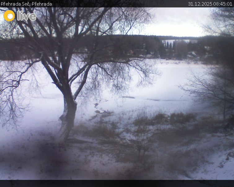 Přehrada Seč - Přehrada - 31.12.2025 v 08:45