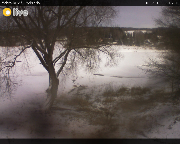 Přehrada Seč - Přehrada - 31.12.2025 v 11:02